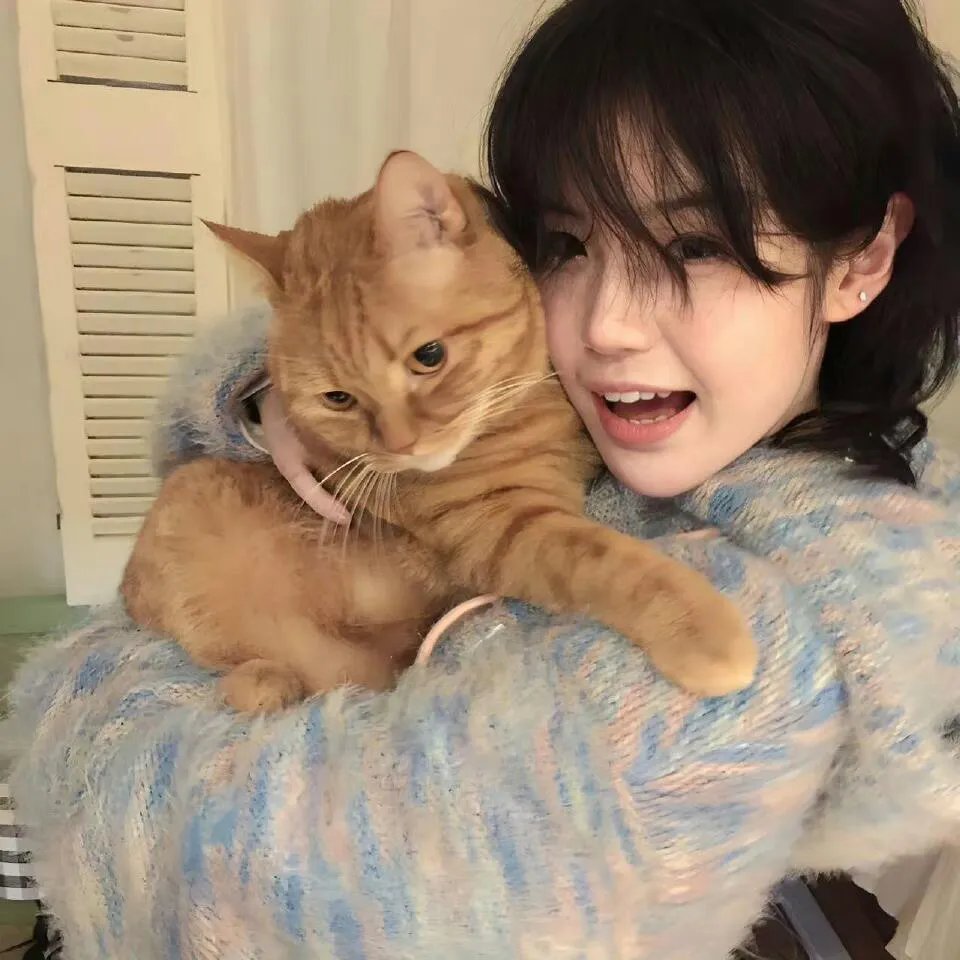 猫和老鼠：间谍使命